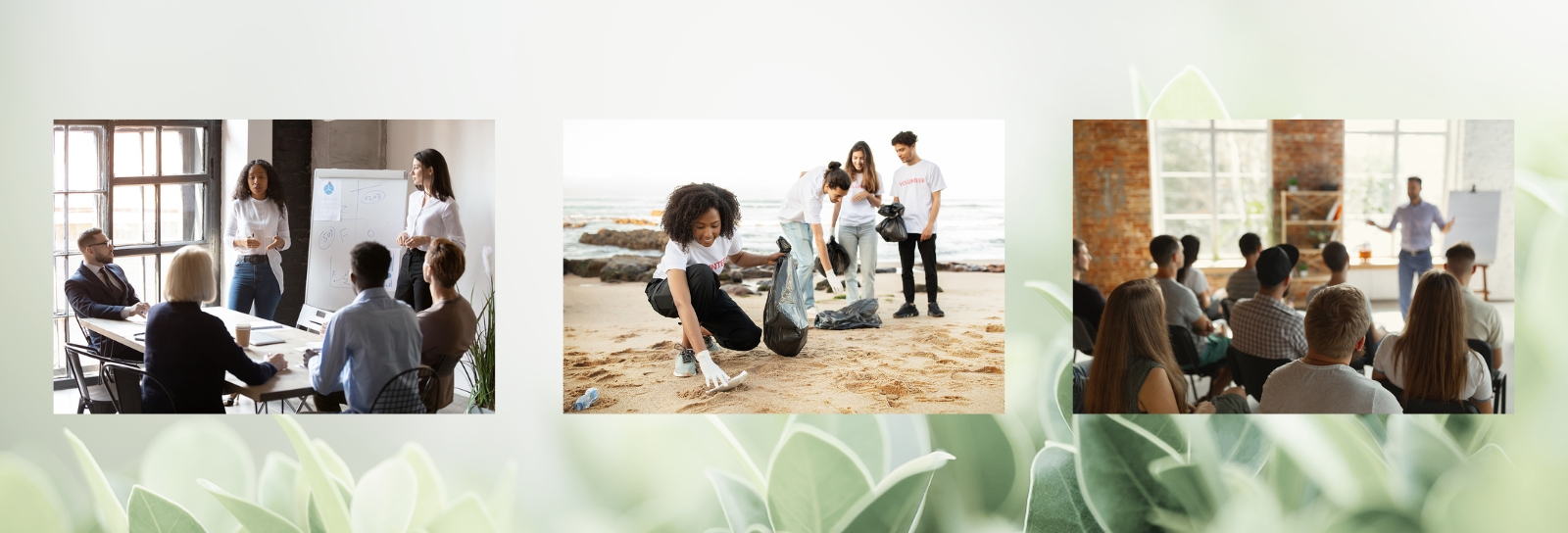 Greenery background with three images in the foreground - two of people in group meetings and one of a divers group cleaning up a beach